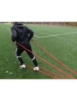 Fitness  model 20935607 - Yakimasport