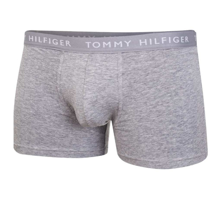 Tommy Hilfiger Spodky UM0UM02203 Bílá/černá/šedá