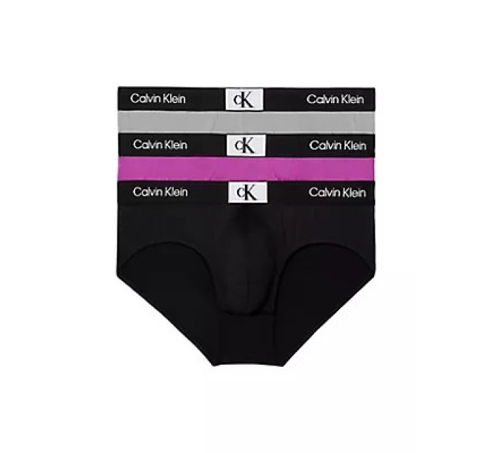 Pánské spodní prádlo HIP BRIEF 3PK 000NB3531ALX5 - Calvin Klein