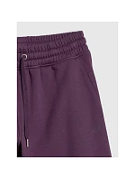 Dámské tepláky joggers 4F 4FRAW25TTROF1846-50S dámské