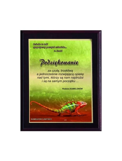 Plastový diplom s barevným dotykovým laminátem