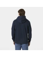 Helly Hansen Core Graphic Sweat Hoodie M 53924 596 Helly Hansen Core Graphic Sweat Hoodie M 53924 596