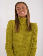 Sweter AT SW  oliwkowy model 20479926 - FPrice