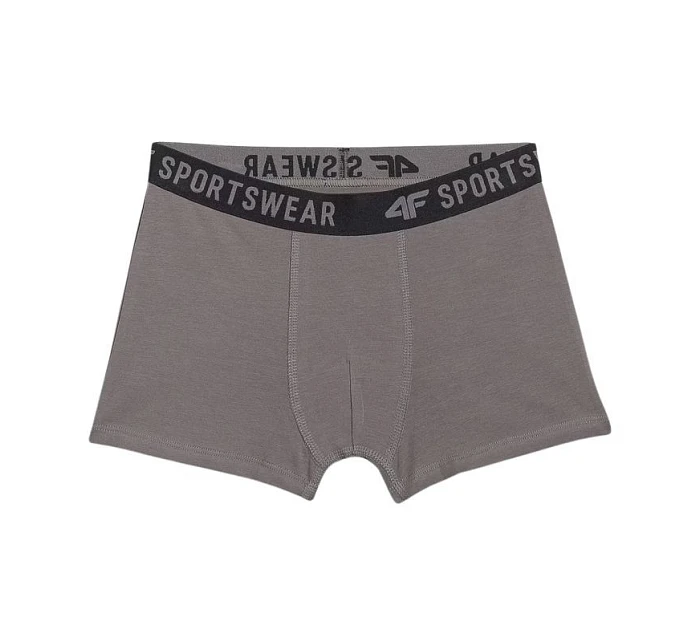 Chlapecké boxerky 3pak vícebarevné 1 JWAW25UBXS 91S model 21343674 - 4F Chlapecké boxerky 3pak vícebarevné 1 JWAW25UBXS 91S model 21343674 - 4F