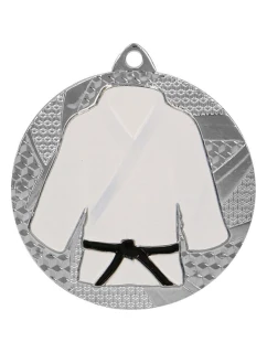 Stříbrná medaile v judu/karate