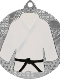 Stříbrná medaile v judu/karate