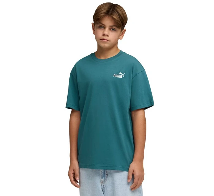 Puma ESS Small No.1 Logo Relaxed Tee green 684920 41