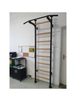 ROZKLÁDACÍ DŘEVĚNO-KOVOVÝ GYMNASTICKÝ ŽEBŘÍK S KOVOVOU HRAZDOU V DUBOVÉ LAVICI 511