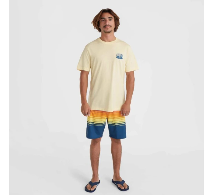 Plážové tričko s grafikou O'Neill M 92800613972