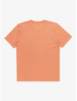 Pánské triko model 21278411 LOGO - Quiksilver