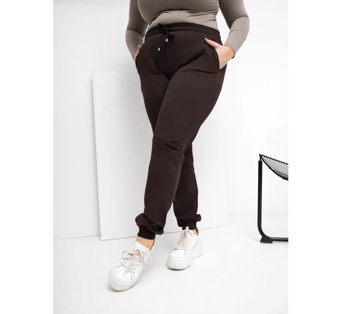 Spodnie dresowe RV DR model 21870771 ciemny brązowy - FPrice