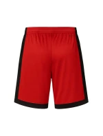 Pánské basketbalové šortky Air Jordan Sport Dri-FIT Red - model 21933004