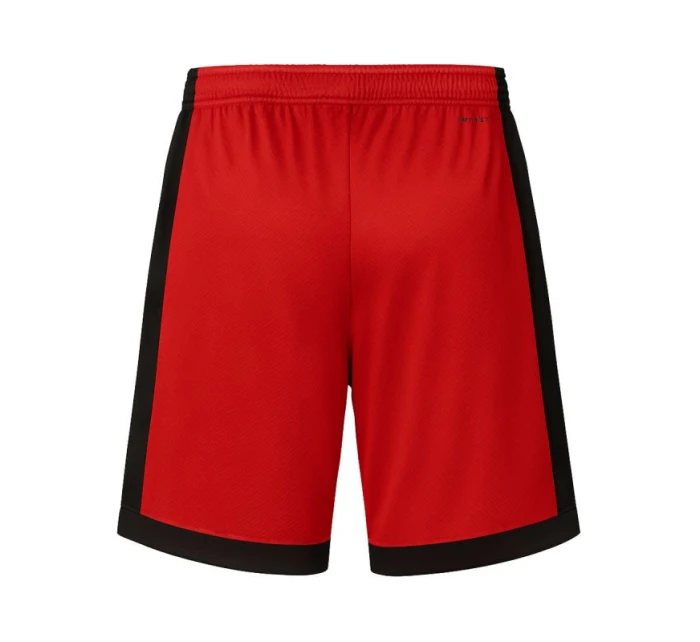 Pánské basketbalové šortky Air Jordan Sport Dri-FIT Red - model 21933004
