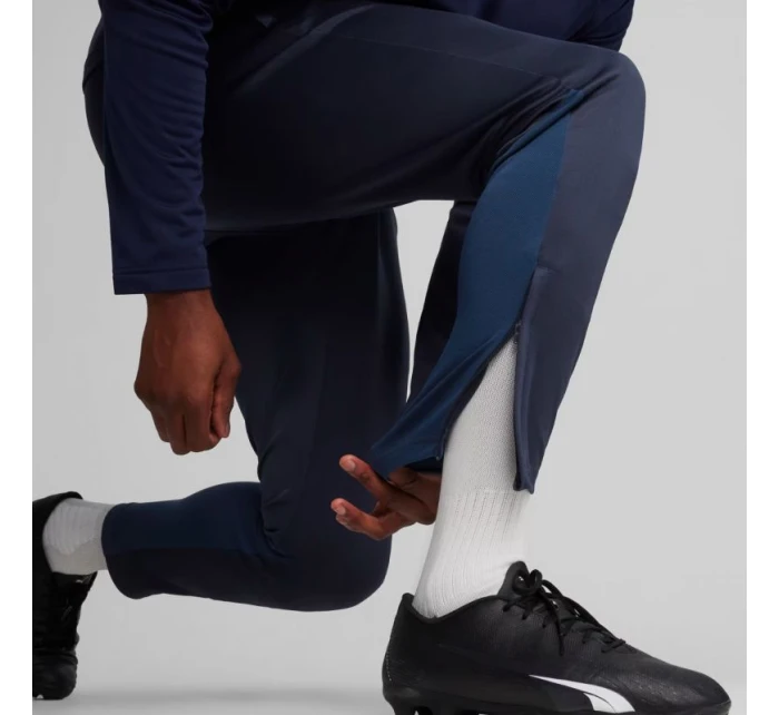 Puma Team Goal Training M kalhoty 658639 06 Puma Team Goal Training M kalhoty 658639 06