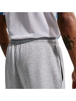 Pánské světle šedé kalhoty Nike Park 26 Fleece IB1248 063