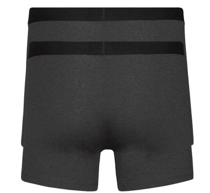 Pánské boxerky 2Pack model 21732532 šedá Levi's - Levis