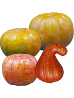 DEKORACYJNA model 21833778