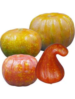 DEKORACYJNA model 21833778