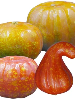 DEKORACYJNA model 21833778