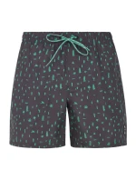 Pánské plážové šortky model 20438209 - Protest