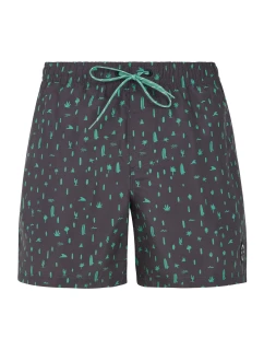 Pánské plážové šortky model 20438209 - Protest