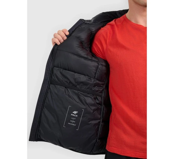 Pánská trekingová bunda model 21918542 - 4F Pánská trekingová bunda model 21918542 - 4F