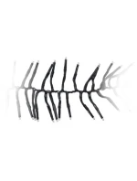 LAMPKI CHOINKOWE  LED  BIAŁY model 21832459