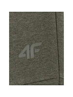 Pánské tepláky typu jogger model 22117335 - 4F