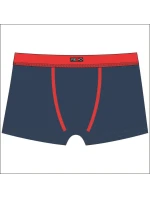 Pánské boxerky model 21284563 BAMBUS - Redo Pánské boxerky model 21284563 BAMBUS - Redo