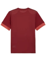 Pánský dres Puma teamGoal Matchday Jersey bordó 705747 09 pánské Pánský dres Puma teamGoal Matchday Jersey bordó 705747 09 pánské