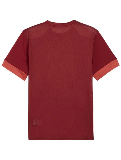 Pánský dres teamGoal Jersey bordó 09 pánské model 21392045 - Puma