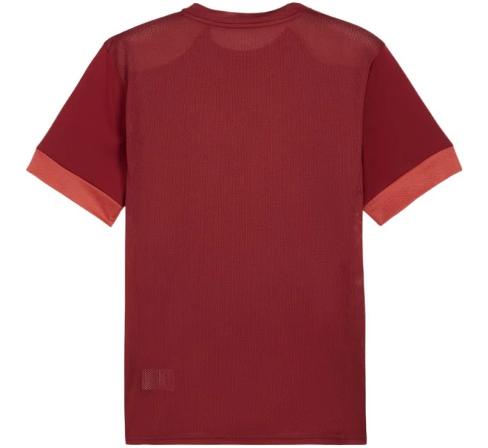 Pánský dres Puma teamGoal Matchday Jersey bordó 705747 09 pánské Pánský dres Puma teamGoal Matchday Jersey bordó 705747 09 pánské