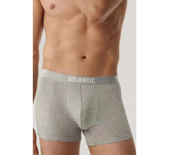 model 21418204 - Atlantic model 21418204 - Atlantic
