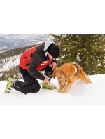 TELESKOP CAR SNOW SHOVEL EVEREST ECO 68,5-71,5-82CM dětské