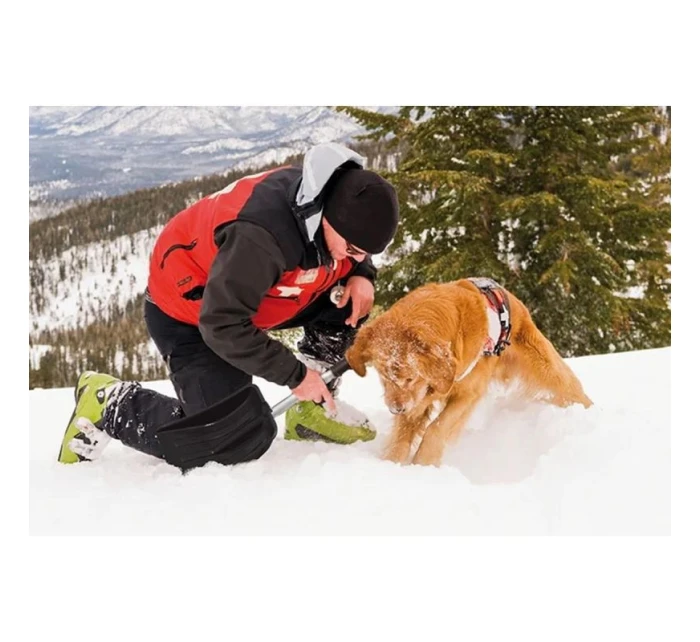 TELESKOP CAR SNOW SHOVEL EVEREST ECO 68,5-71,5-82CM dětské