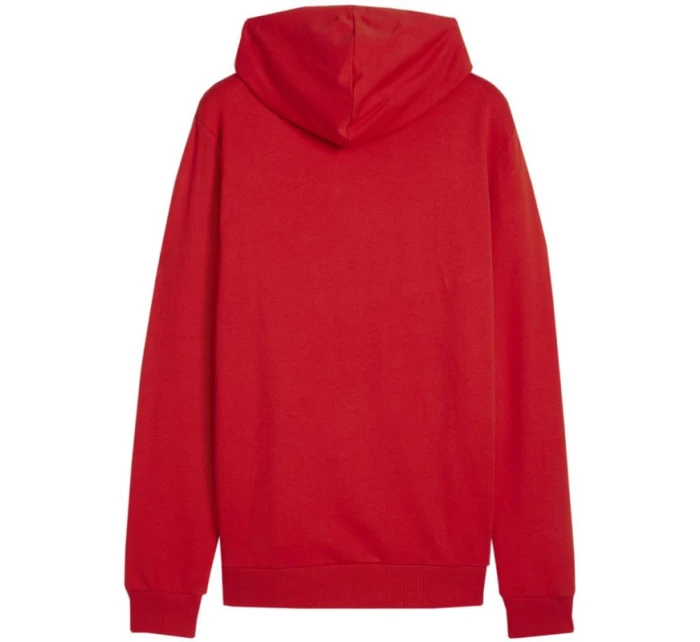 Mikina Puma Team Goal Casuals Hoody M 658618 01 pánské