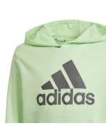 Mikina adidas Big Logo Hoodie Jr IS2591 Mikina adidas Big Logo Hoodie Jr IS2591