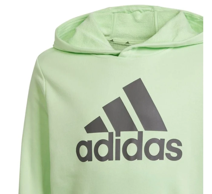 Mikina adidas Big Logo Hoodie Jr IS2591 Mikina adidas Big Logo Hoodie Jr IS2591