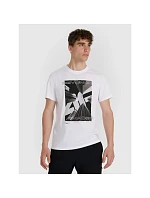 Pánské tričko 4F 4FRAW25TTSHM3258-10S