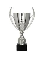 Stříbrný kovový pohár Stříbrný kovový pohár