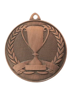 Celková bronzová medaile s pohárem