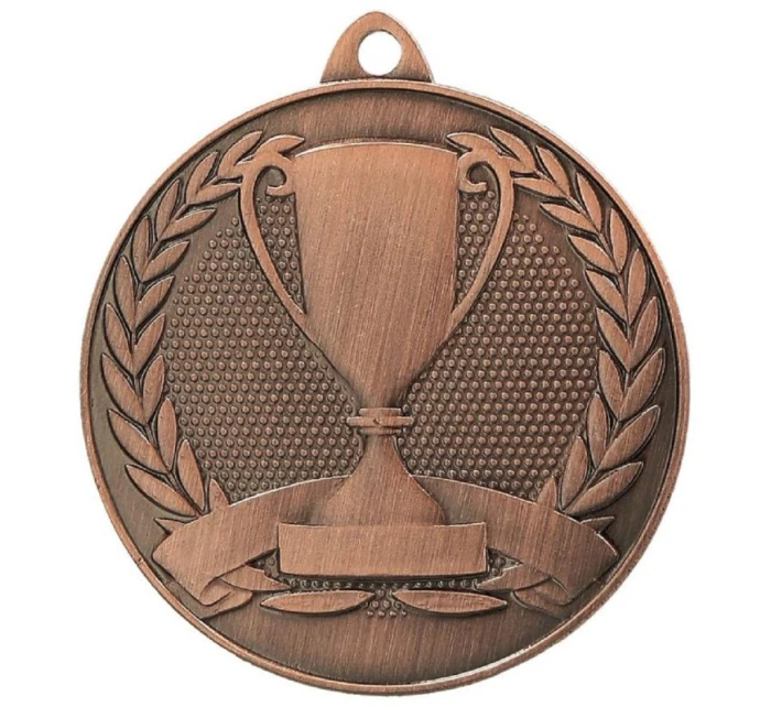 Celková bronzová medaile s pohárem