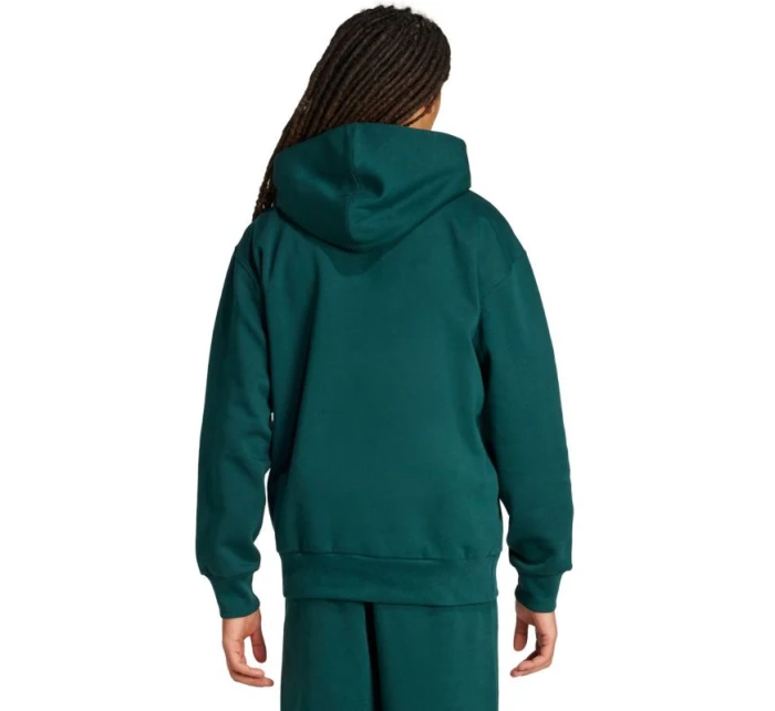Pánské mikiny  Fleece Hoodie Green pánské model 21738003 - ADIDAS