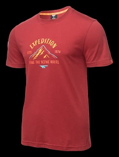 Pánské tričko s krátkým rukávem model 22055141 SP