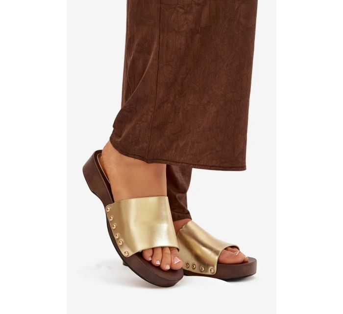 Dámské žabky se zlatými sponkami Terissa