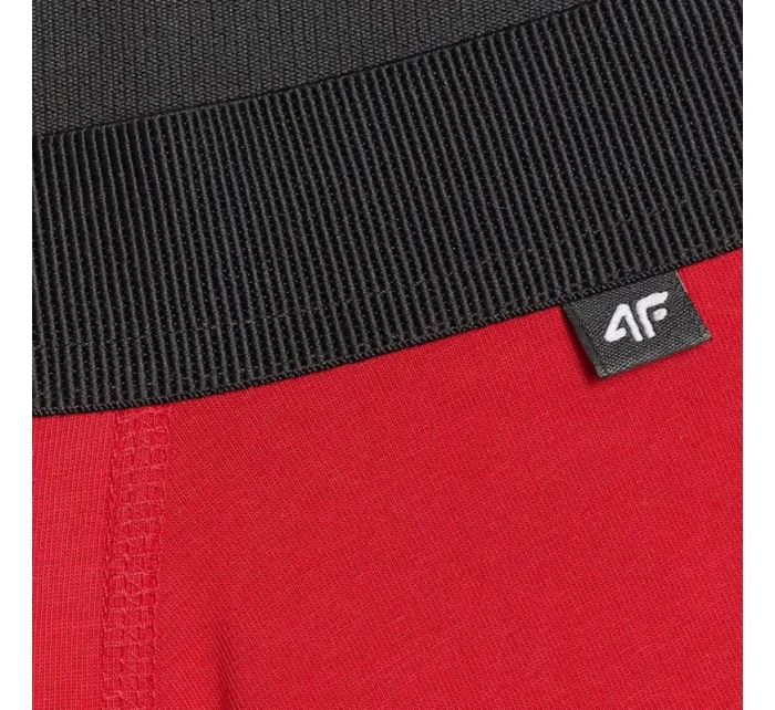 Pánské boxerky 4F M059 2-pack multicolor 2 4FWMM00UBXSM059 92S