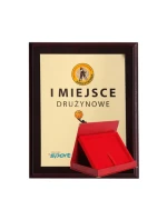 Dyplom z tworzywa sztucznego z  + etui mm model 21829360