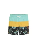 Plavecké šortky O'Neill Mix&Match Cali Block 15'' M 92800613816