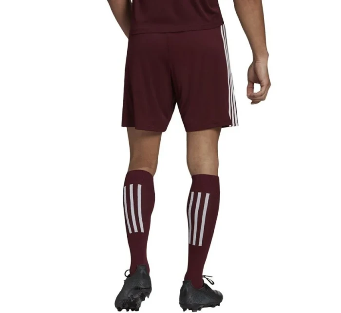 Pánské kraťasy Squadra 21 Short M GN8083 - Adidas