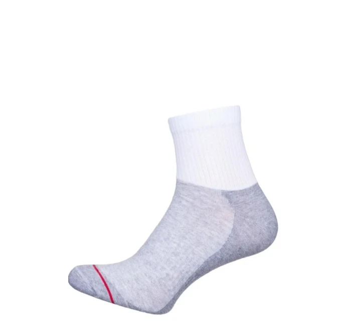 Pánské ponožky ACTIVE 0224.008 Pánské ponožky ACTIVE 0224.008